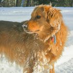 Harley Spaulding - @harley_spaulding - Instagram