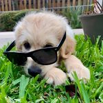 Harley Stark Leleux - @harley_the_charmer - Instagram