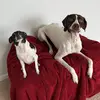Stark & Harley - @starktequilaharleymezcal - TikTok