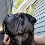 Harley Stevens - @_harleystevens - Instagram