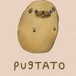 Harley Sutton - @potatopoog - Instagram