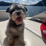 Harley And Molly Tate - @harley_and_molly55 - Instagram