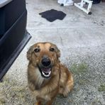 Harley Terry - Facebook