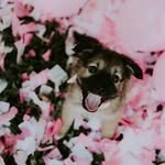 Harley Thornton - @harley_260 - Instagram