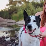 Harley Walker - @harley.walker - Instagram