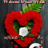 DIBANG_MIMI - @harley_walls55 - TikTok