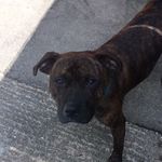 Harley - @harley_willis_2832 - Instagram