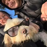 Harley Cound - @harley_wright__seagull - Instagram