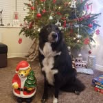 Harley Wright - @harleysadventures.x - Instagram