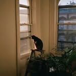 Harley Wu - @coal_gangue - Instagram