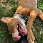 Harley<3 - @harley_yang26 - Instagram