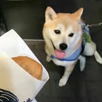 Harley.yangyang - @harleyyangy - Instagram