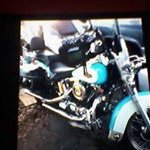 Harley York - @yorkharley - Instagram