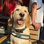 Charlie Manuel Méndez - @charliemanuelmendez - Instagram