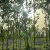 Harlin Kaur - @harlin.kaur7 - TikTok