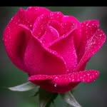 Harmandeep sidhu - @harmandeepsidhu33 - Instagram