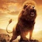 Harminder Singh Bal - @balharminders - Instagram