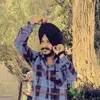 ਫਗਵਾੜੇ ਤੋਂ  ਪਾਂਸ਼ਟਾ - @harminderbhatia2 - TikTok