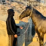 Harminder Gill ( ਤਵੀਤਾਂ ਵਾਲਾ ) - @harvii_gill.07 - Instagram