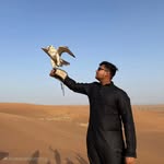 Harmit D Patel - @harmitpatel004 - Instagram