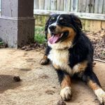 Harmon Acree Johnson - @harmonjohnson0 - Instagram