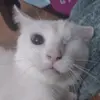 Harmony Lewis - @harmony.lewis28 - TikTok