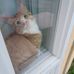 Swann Hamon - Facebook