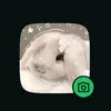 ♡Crazyanimallady♡ - @harmony.young43 - TikTok