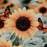 Harmony Bryant - @harmony_bryant124 - Instagram