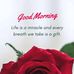 Harmony Evans - Facebook