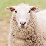 Harmony Fields - @harmonyfields - Instagram