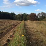 Harmony Fields Farm - @harmonyfieldsfarmky - Instagram