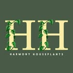 Harmony Houseplants - @harmony_houseplants - Instagram