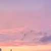 Harmony - @harmonyjenkins386 - TikTok