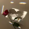 Harmony Knight - @hårmønÿkñįght - TikTok