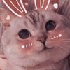 HarmonyLe - @harmony_523 - TikTok