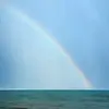 Harmony - @harmonylewis09 - TikTok