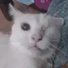 Harmony Lewis - @harmony.lewis28 - TikTok