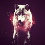 harmony-mccallay - @harmony_mccallay - Instagram