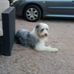 Harmony Nelson - Facebook