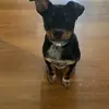 harmony - @harmony.pratt - TikTok