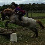 harmony pratt - @harmy_horses_stripy - Instagram