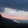 harmonypratt - @rosey2231 - TikTok