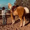 Harmony Reyes - @harmony.reyes3 - TikTok