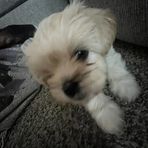 Harmony Reynolds - Facebook
