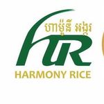 Harmony Rice - @harmony.rice - Instagram