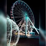 harold Albert - @haroldalbertbetter1 - Instagram