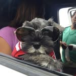 Harold Andrade - @harold.andrade.923 - Instagram