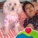 Harold Andrade - @haroldandradehjuayogui30gmail - Instagram