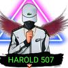 Harold Andrade - @haroldandrade19 - TikTok